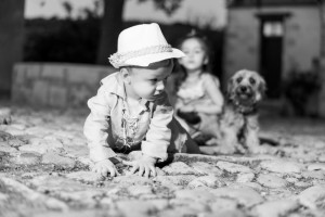 Polentas, Photography and Videography