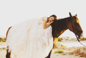Polentas, Photography and Videography
